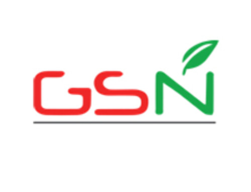 GSN Group